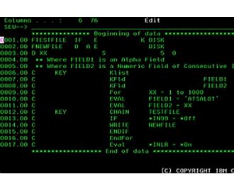 Report Program Generator RPG