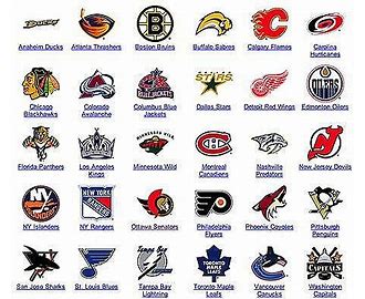 The National Hockey League NHL
