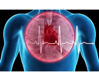 Coronary Artery Disease CAD