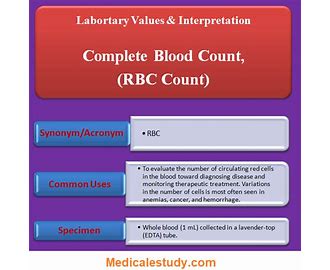 Complete Blood Count CBC