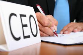 Chief Executive Officer CEO