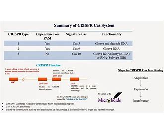 Clustered Regularly Interspaced Short Palindromic Repeats CRISPR
