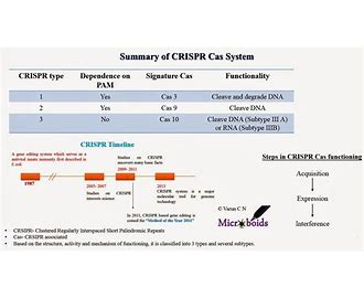 CRISPR