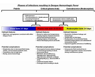 Dengue Hemorrhagic Fever DHF