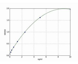 Forkhead Box Protein O1 FOXO1