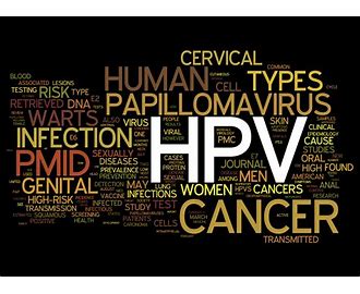 Human Papilloma Virus HPV