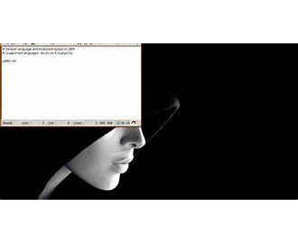 Joe's Window Manager JWM