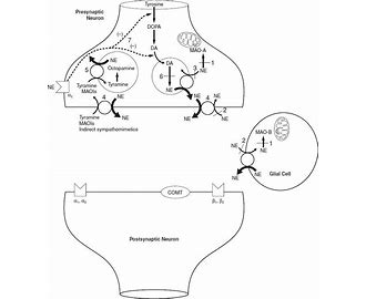 Monoamine Oxidase Inhibitor MAOI