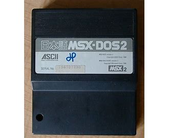 MicroSoft eXtended MSX