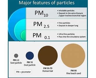 PM2.5