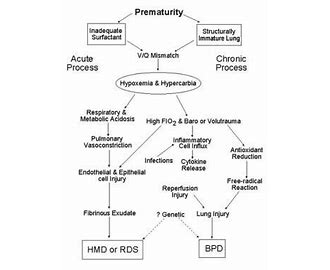 Respiratory Distress Syndrome RDS