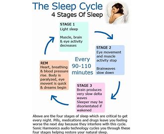 Rapid Eye Movement REM