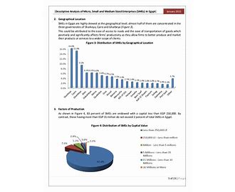 Small and Medium-sized Enterprises SME