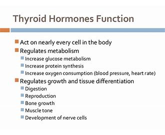 Triiodothyronine T3