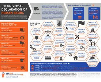 UDHR